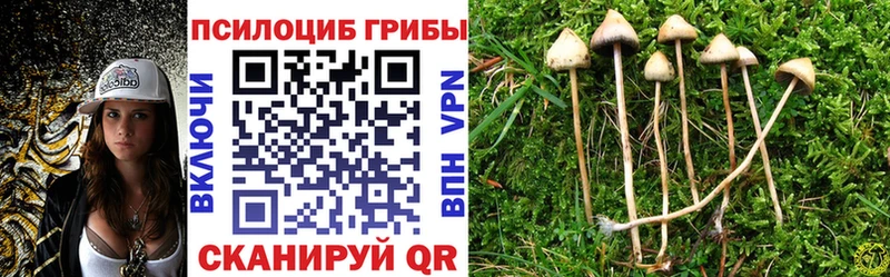 Галлюциногенные грибы ЛСД  где найти   Солнечногорск 