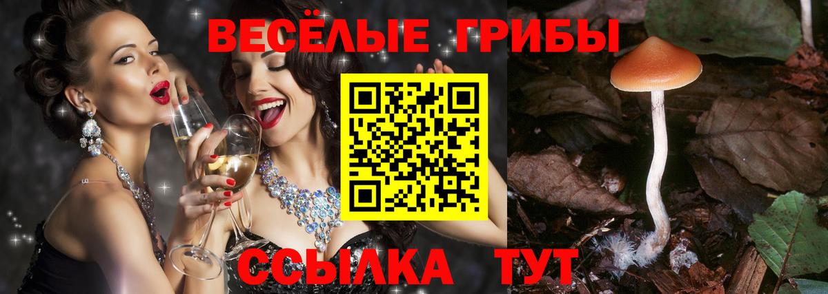 Галлюциногенные грибы Cubensis  Вход с VPN  Солнечногорск 