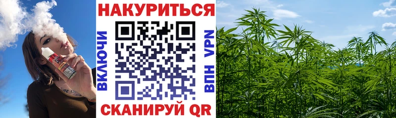 omg tor купить Солнечногорск Шишки марихуана Bruce Banner